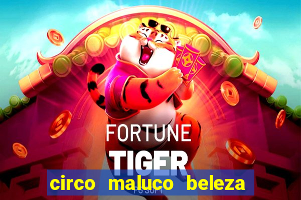 circo maluco beleza recife circo maluco